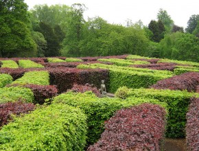Beukenhaag rood & groen vol in blad. Foto via Flickr | Sommige rechten voorbehouden